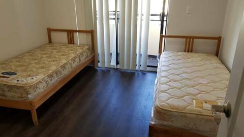 Shared room available in Flemington
