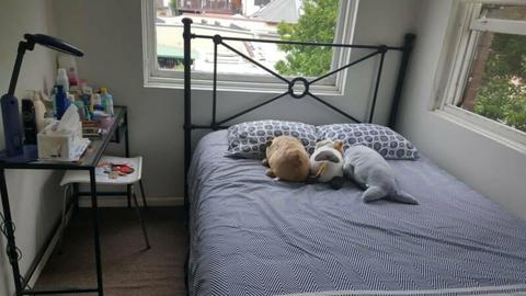 Double bed room in Randwick Junction for 170$ each
