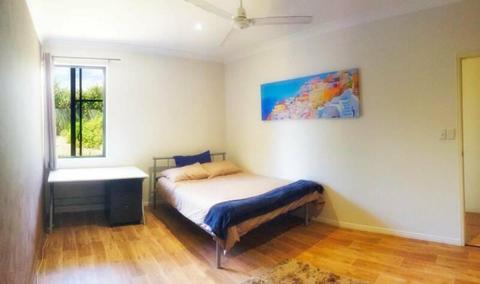 LARGE ROOM inc. TV, Wifi and utilities in Buderim / Sippy Downs
