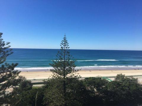SURFERS PARADISE Beachfront Share Apartment-available Now- Bills incl