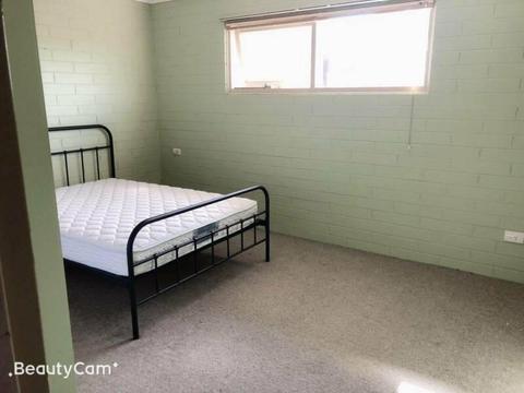 Kingston room available for rent