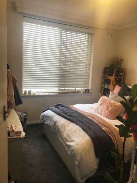 Wanted: Room available in Brunswick West
