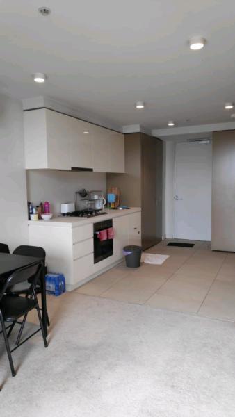 Female Apartment Flatshare looking a Clean Flatmates