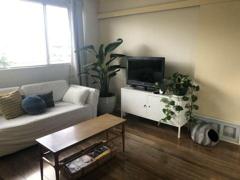 Single room to rent in Heidelberg (females only)