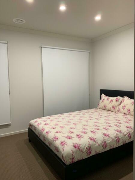 Master bedroom for rent