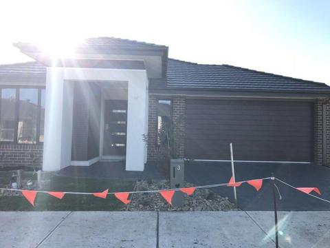 Room for rent in Craigieburn new home