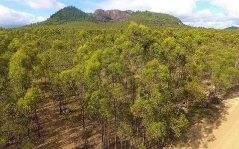 400 acres of Paradise 10 minutes from Yeppoon, Pine Mountain