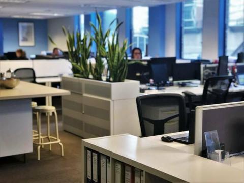 Desk Space for Lease on Paris End of Collins Street