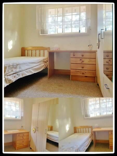 Singel room for rent close to Revesby , Padstow