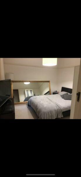 Room available for rent Coogee Beach