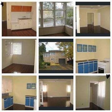 Indooroopilly house rent 4 bedroom 400/week
