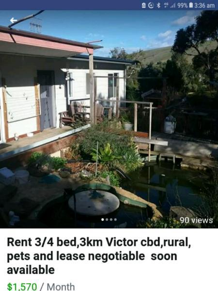 House for rent