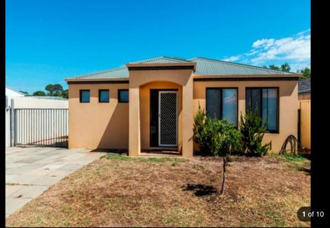 Cannington 4*2 modern Fully Furnished house for lease