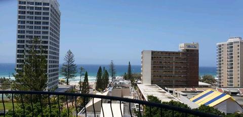 Shared Room, Surfers paradise