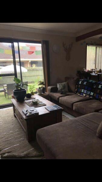 Double room for rent in Burleigh waters