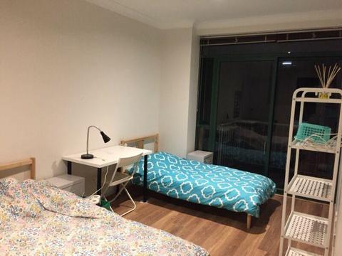Male share room in city