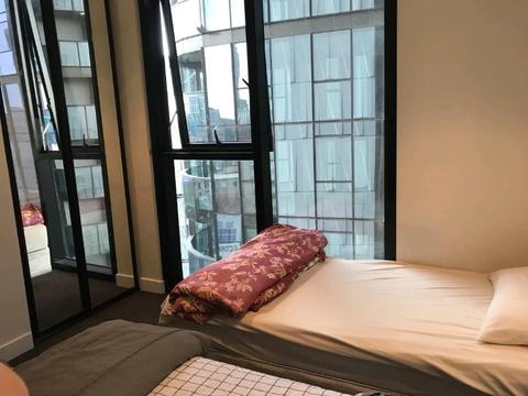 Female share room in CBD