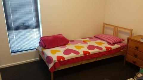bed available for female in Southbank