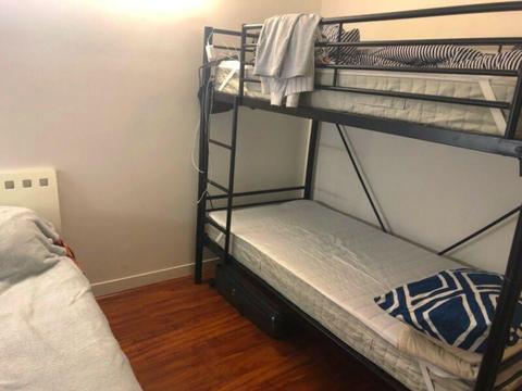 Male roommate in cbd