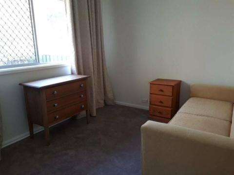 Furnished room for mature professional