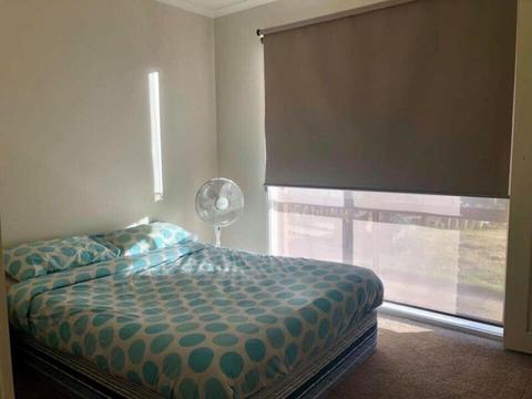 Room for rent in Calwell