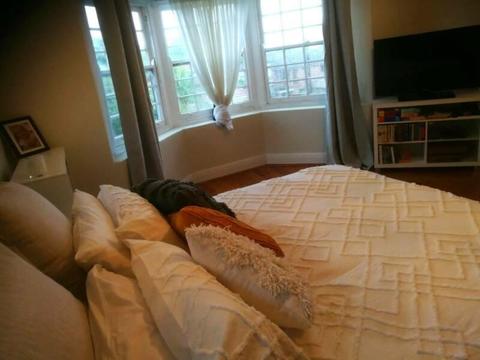 Great Rooms in House for Rent Sans Souci (Negot.) Couples Welcome!