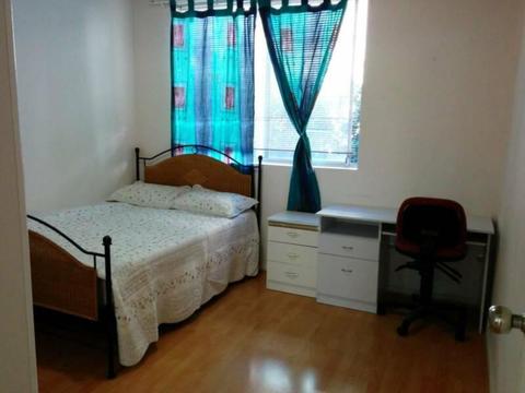 Master room avail in Dee Why center for single -all bills incl