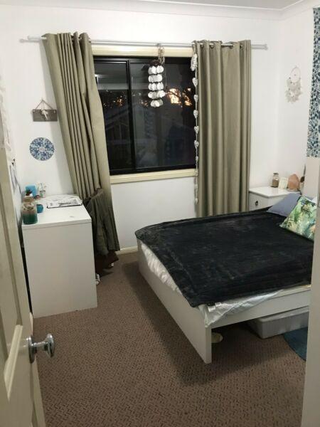 Room in Newport available to rent