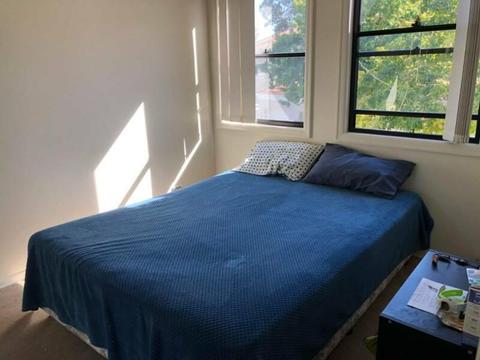 Bedroom for rent in Surfers Paradise
