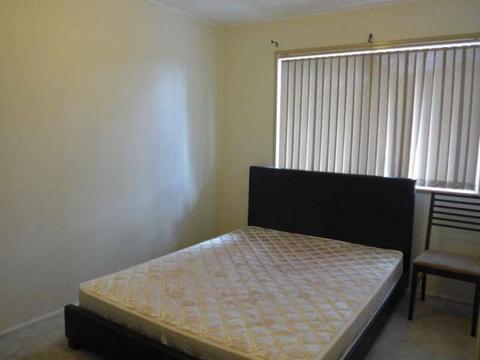 Macgregor comfortable king size room for rent - walk to shops, buses