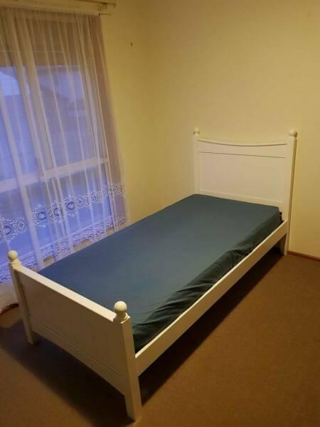 Fully Furnished room available in spacious house (Clovelly Park)