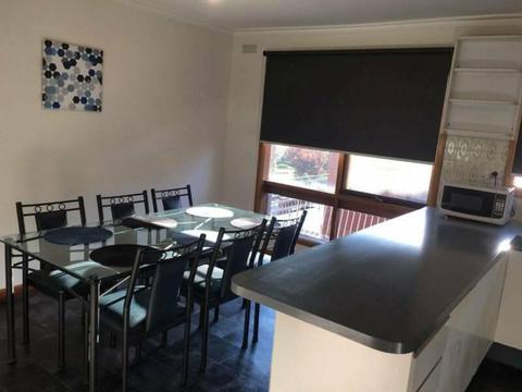 Room For Rent In Bundoora- All Bills Included