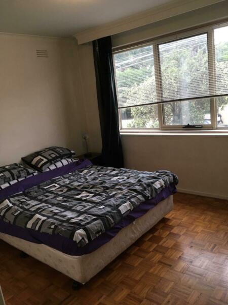 Large double room available in a beautiful St Kilda Flat