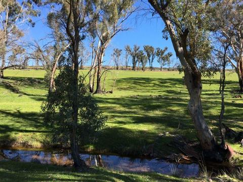 31 Acres with shed, bore and power Wirrabara Forest