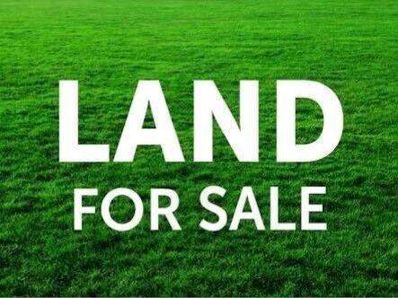 Armstrong creek land for sale