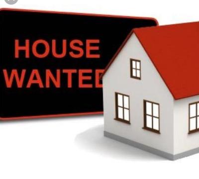 Wanted: URGENLY LOOKING FOR PLACE TO CALL HOME
