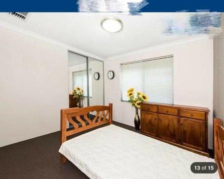 canning vale luxury room for rent