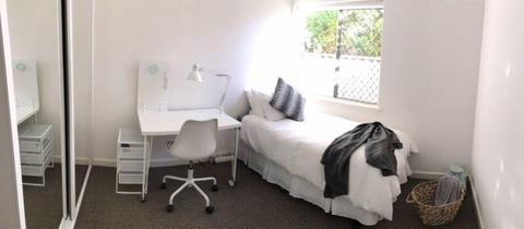 Single Room for Rent $190 pw