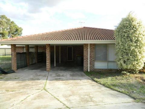 4 bed house for lease- Forrestfield
