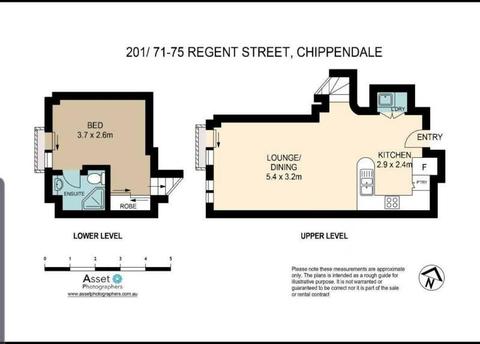 Luxury 1 bedroom apartment split level in chippendale for sale