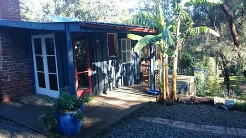 Tiny house and studio on quarter acre in Belgrave Sth