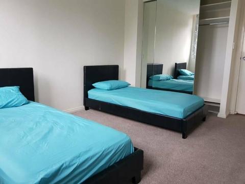 Twin share available for $210/week, perfect for students/backpackers!