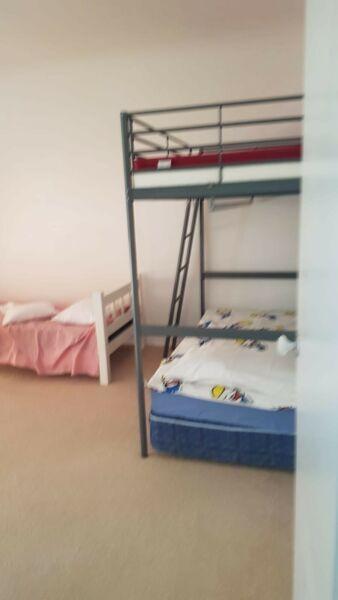 Share room in Morayfield