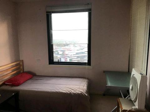 Room for rent in Southbank
