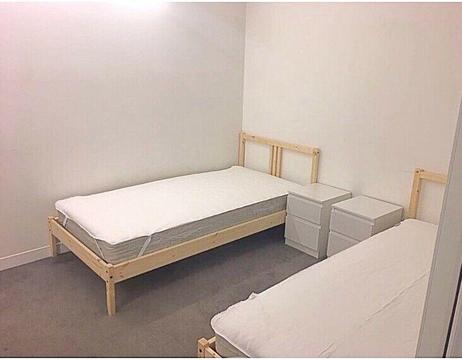 Male roomate in cbd