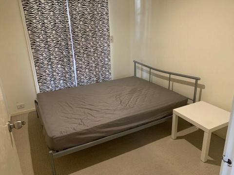 Room for share rent in kings park 3022