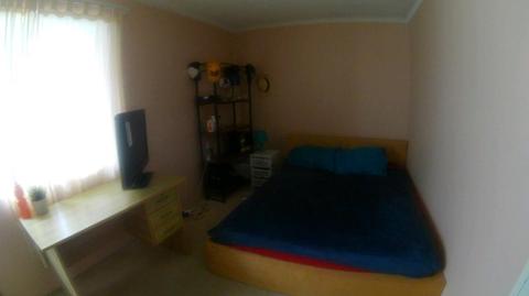 Single room 250 $ blenheim st,randwick