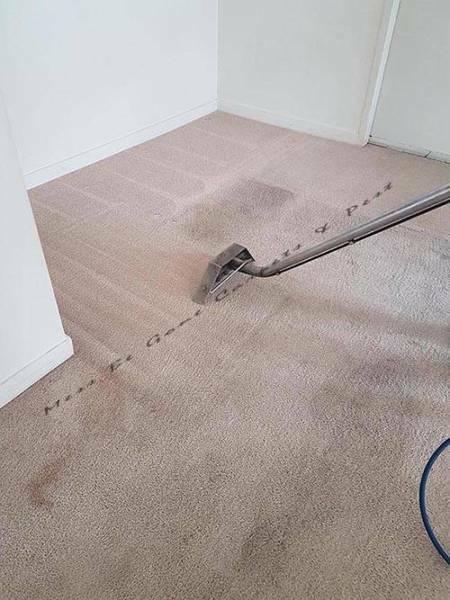 End of Lease Carpet Cleaning &; Pest Control