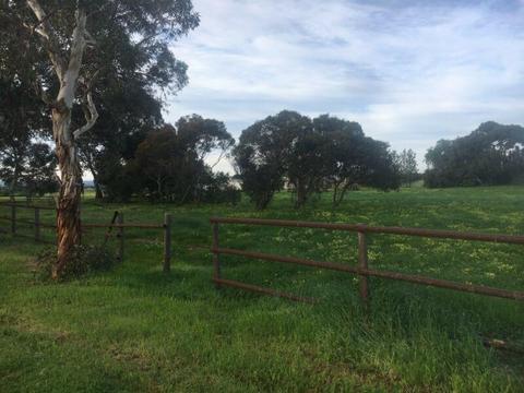 10 acre paddock for lease by negotiation