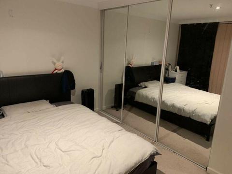 Master bedroom near Canberra Center for rent